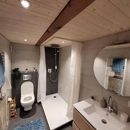 Staubbach View - Traditional Apartment