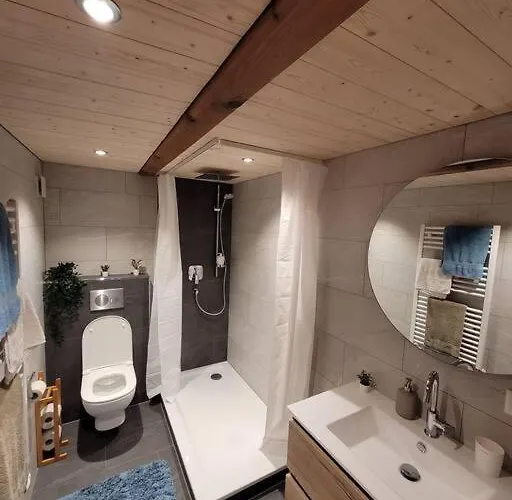 Staubbach View - Traditional Lägenhet